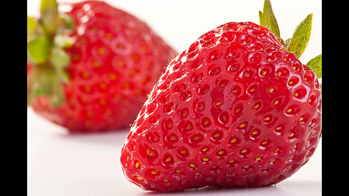 Fotos de Culinária e Gastronomia