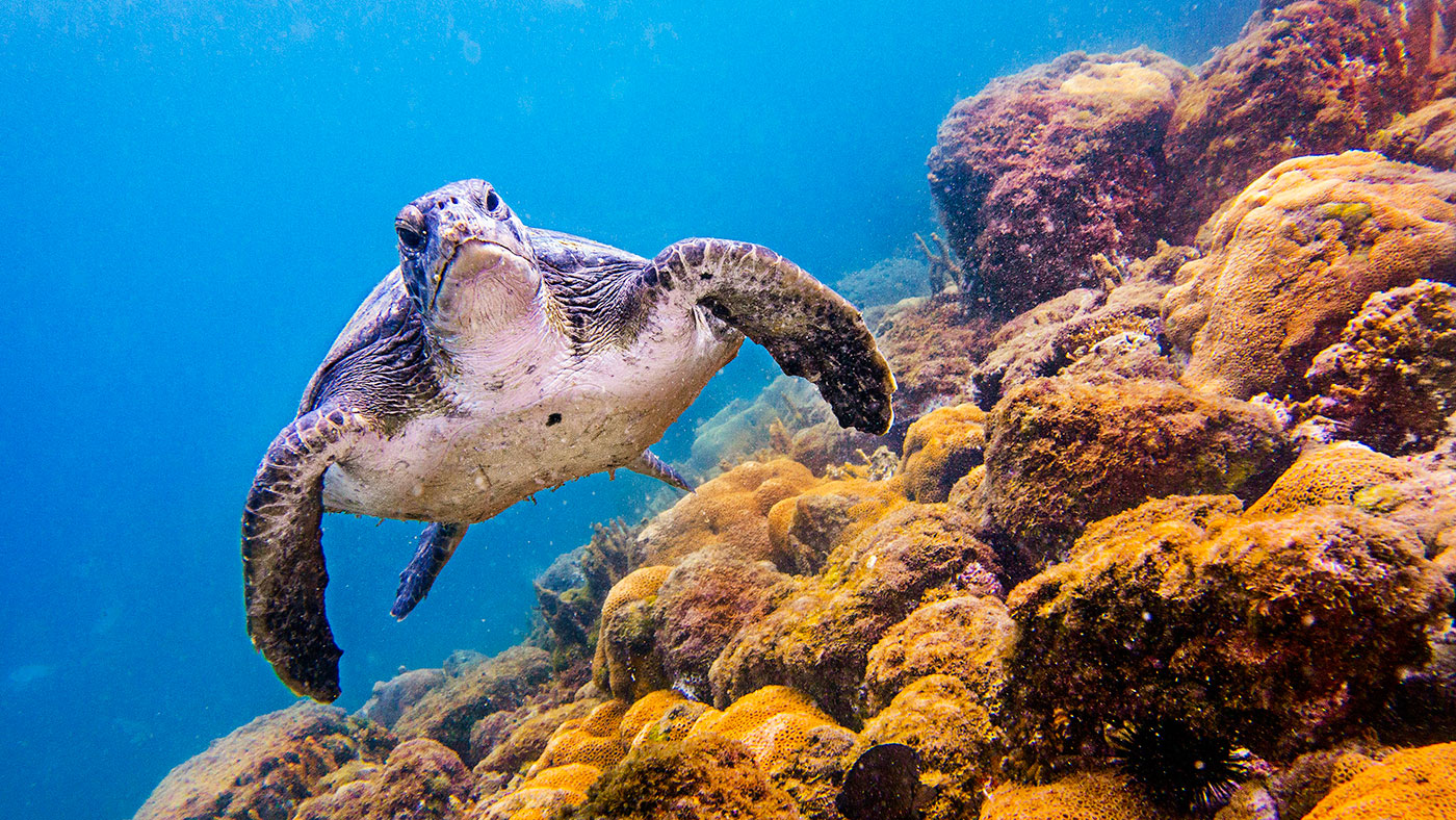 Fotos do Acervo Pessoal