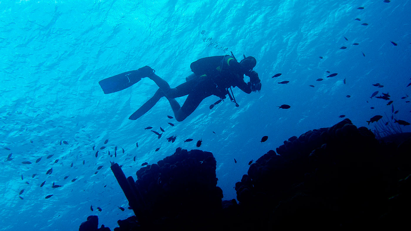 Fotos do Acervo Pessoal