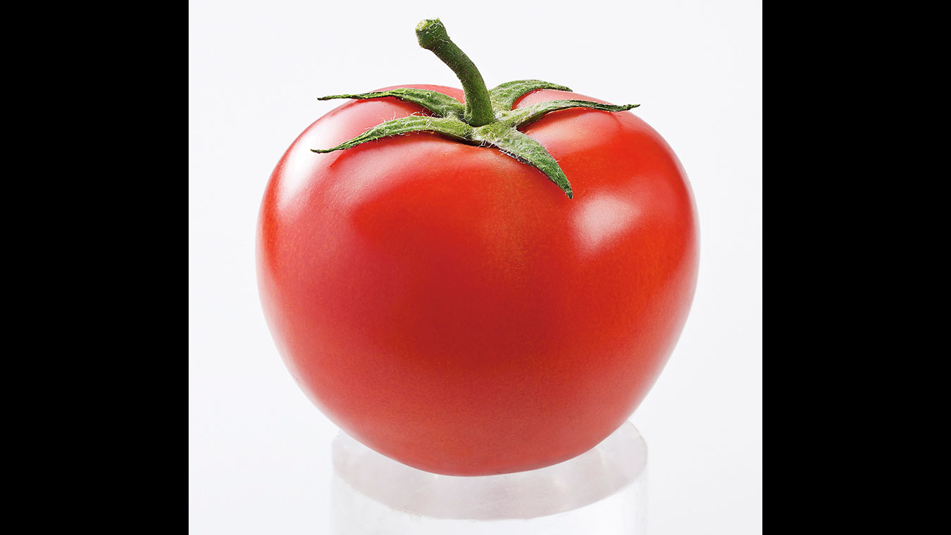 Fotos de Produtos, Still e Fotos com Cenografia